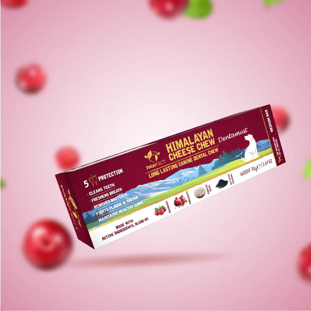 Pawfect Himalayan Cheese Chew - Dentamust Infused with Cranberry - Large Yak Bar