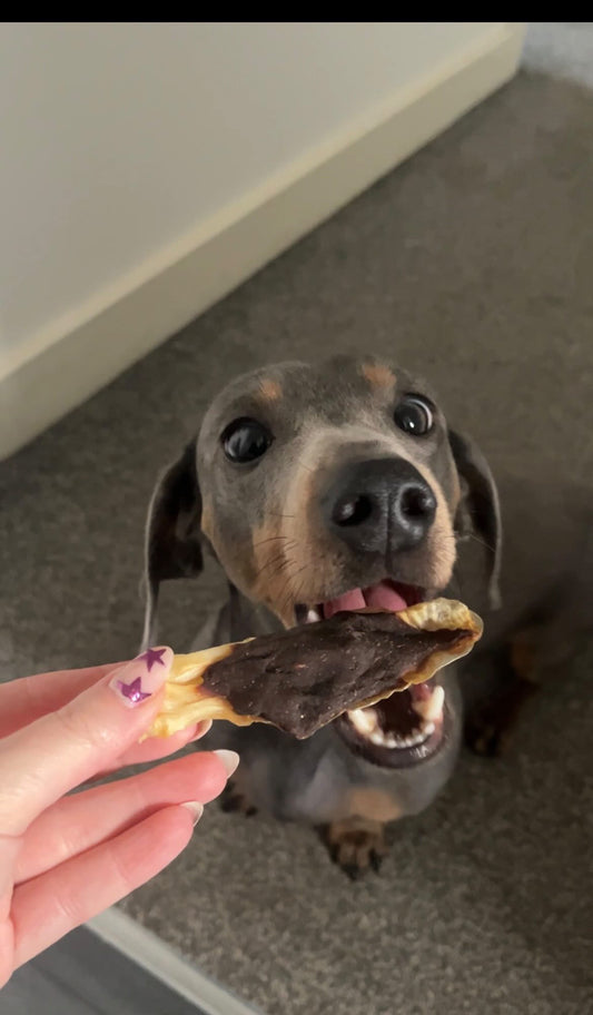 Rabbit Ears With Lamb - SINGLE