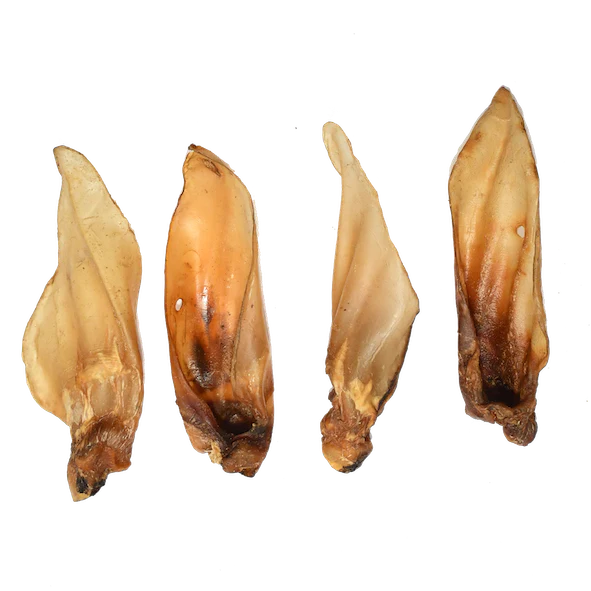Buffalo Ears - 1 Piece