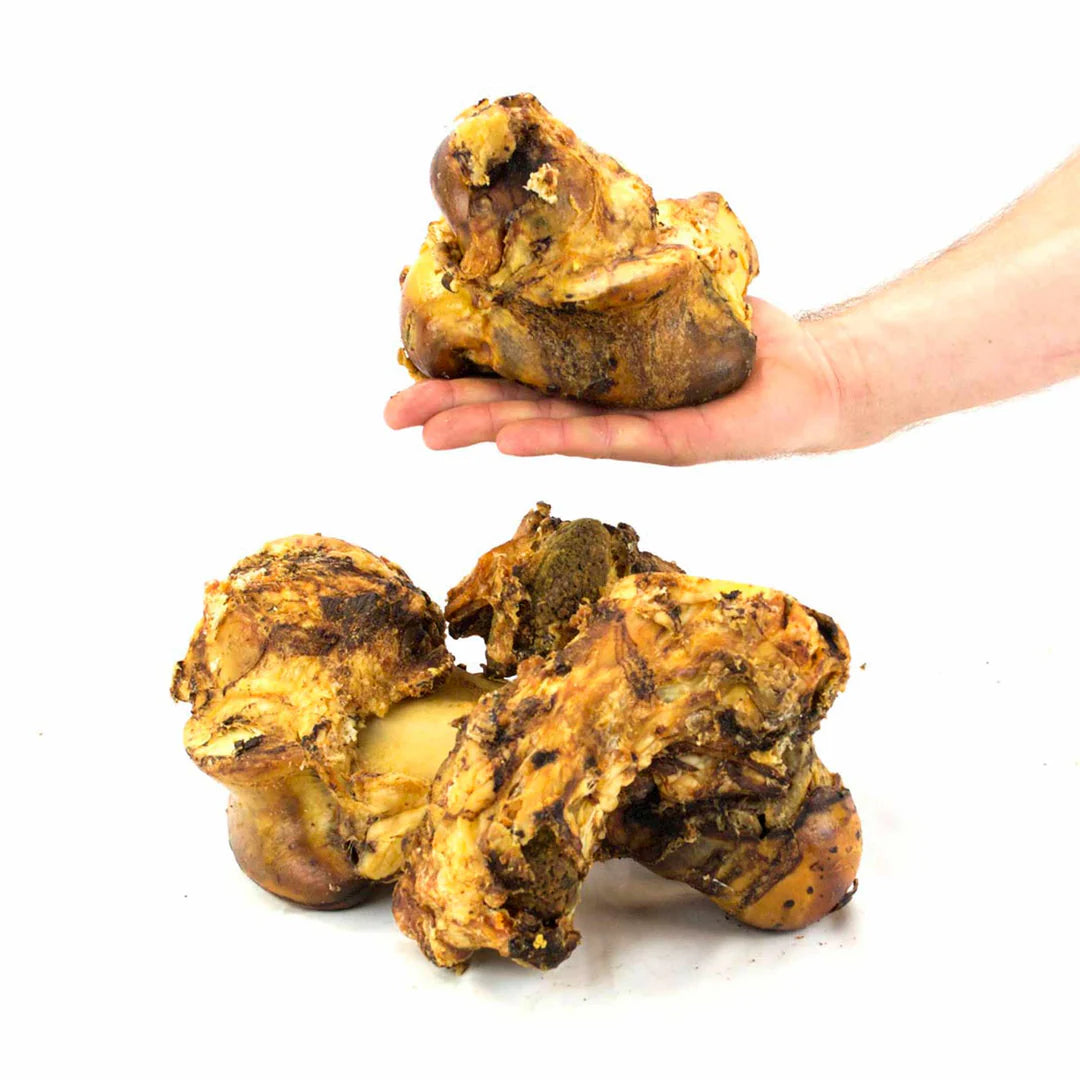 XL Roasted Knuckle Bone