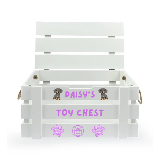 PRE ORDER - PERSONALISED TOY CHEST