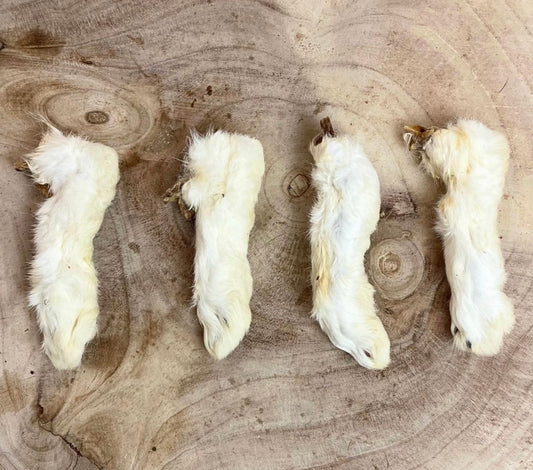 Hairy Rabbit Feet
