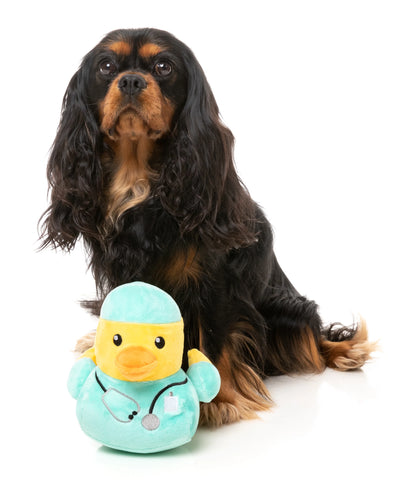 FuzzYard Ducktor Duck Toy