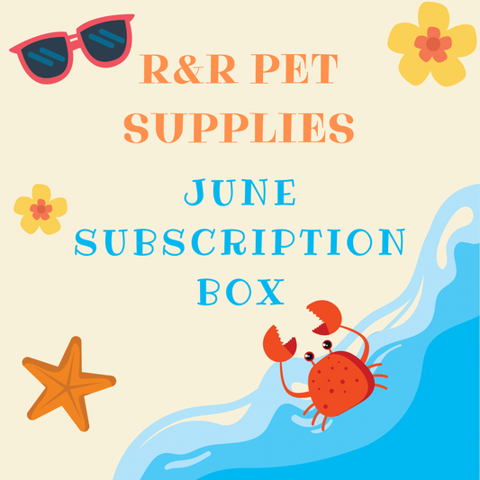 SUBSCRIPTION BOX - June Beach Box