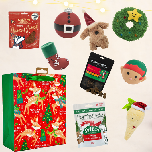 Christmas Mystery Gift Bag