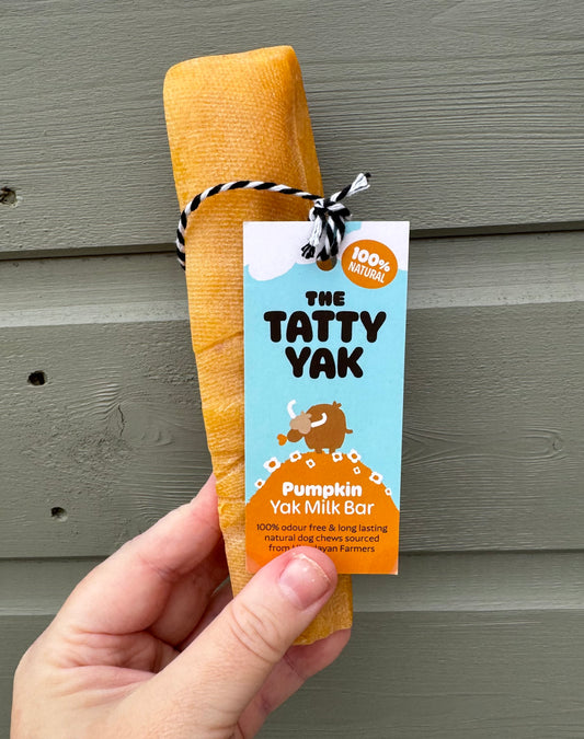 Tatty Yak Large Pumpkin Flavoured Bar