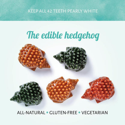 Hedgehog Veggie Chew