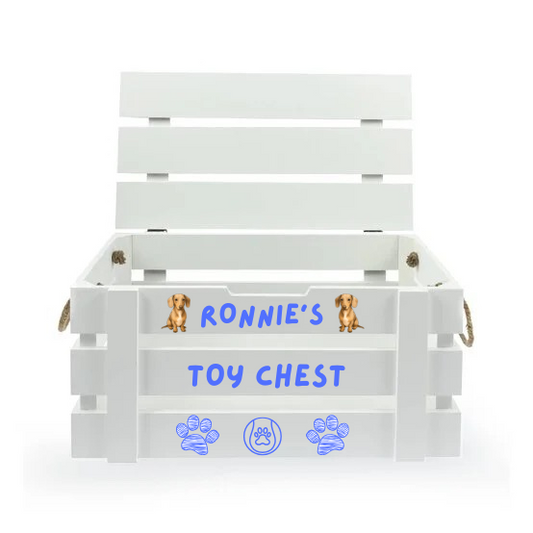 PRE ORDER - PERSONALISED TOY CHEST