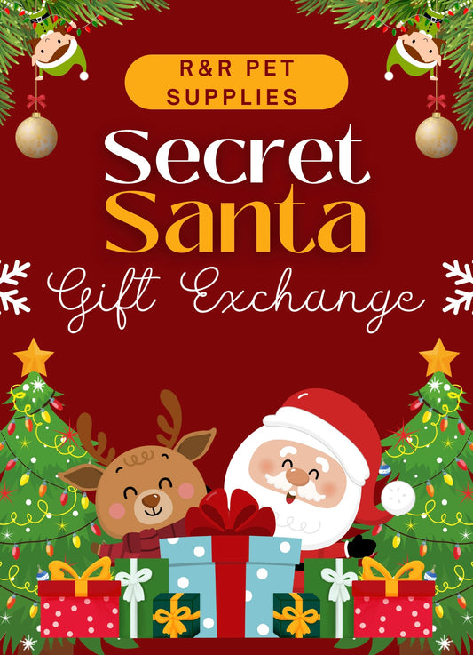 SECRET SANTA BOX 🎅🏻